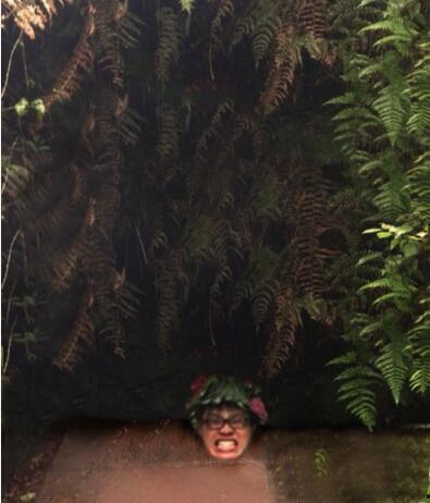 吃瓜大神梦幻,吃瓜大神梦幻带你领略幕后风云